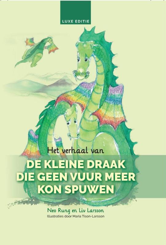 Omslag van Het verhaal van De kleine draak die geen vuur meer kon spuwen