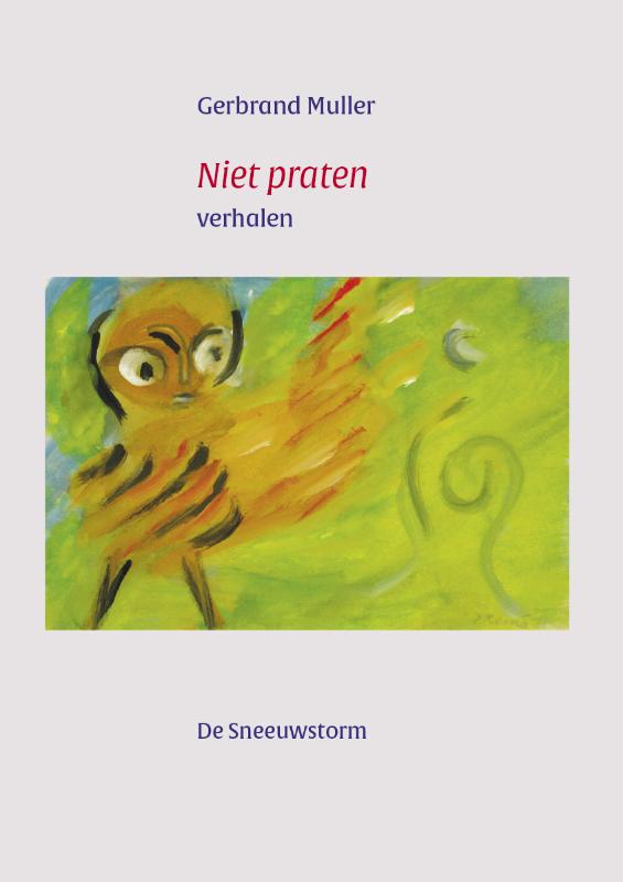 Omslag van Niet praten