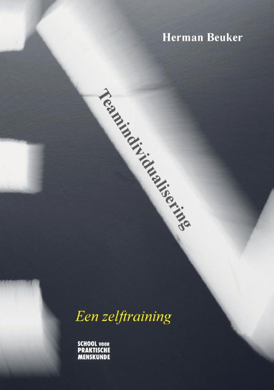 Omslag van Teamindividualisering