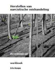 Omslag van Werkboek