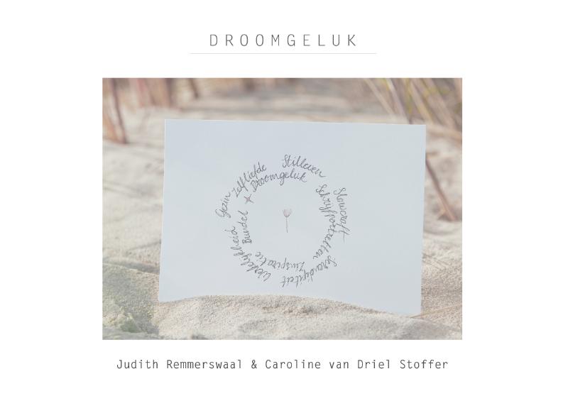 Omslag van Droomgeluk