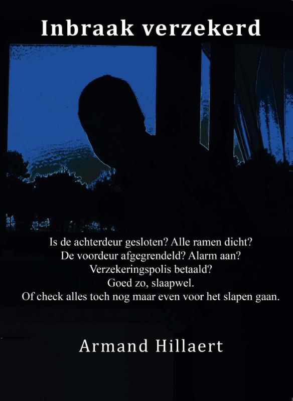 Omslag van Inbraak verzekerd