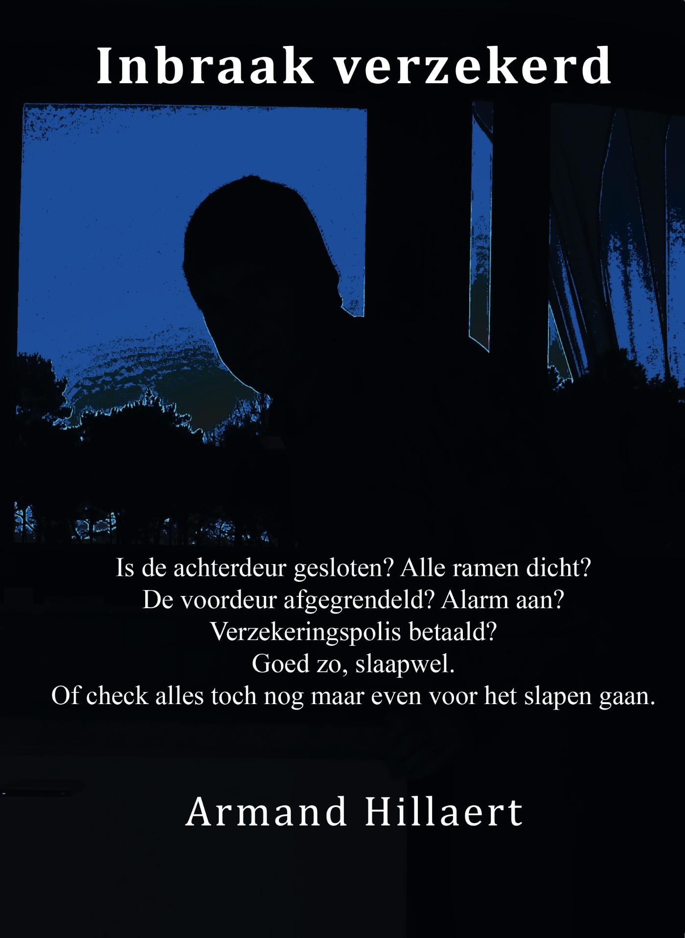 Omslag van Inbraak verzekerd