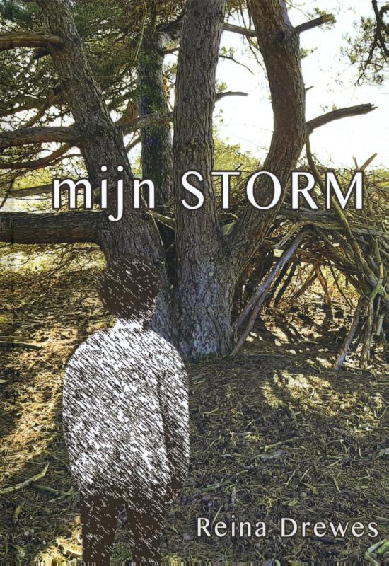Omslag van Mijn Storm