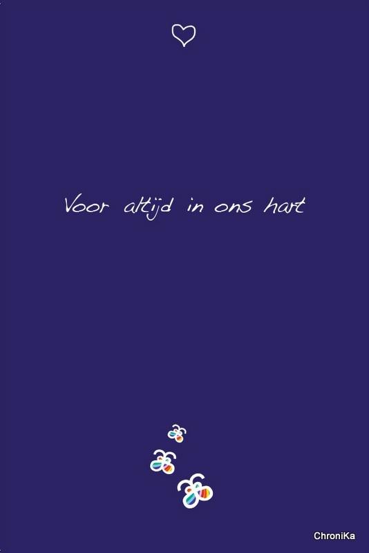 Omslag van De laatste reis samen...