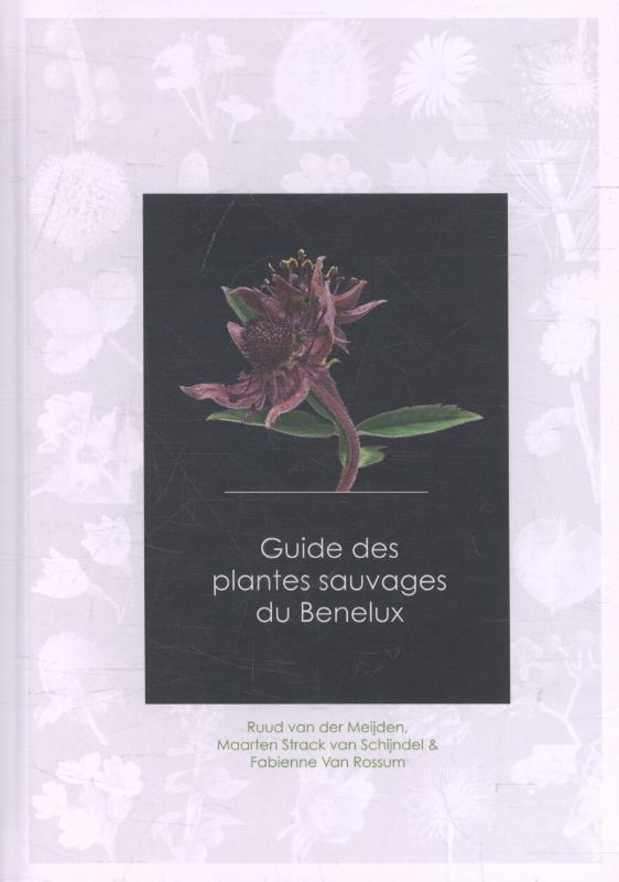 Omslag van Guide des plantes sauvages du Benelux