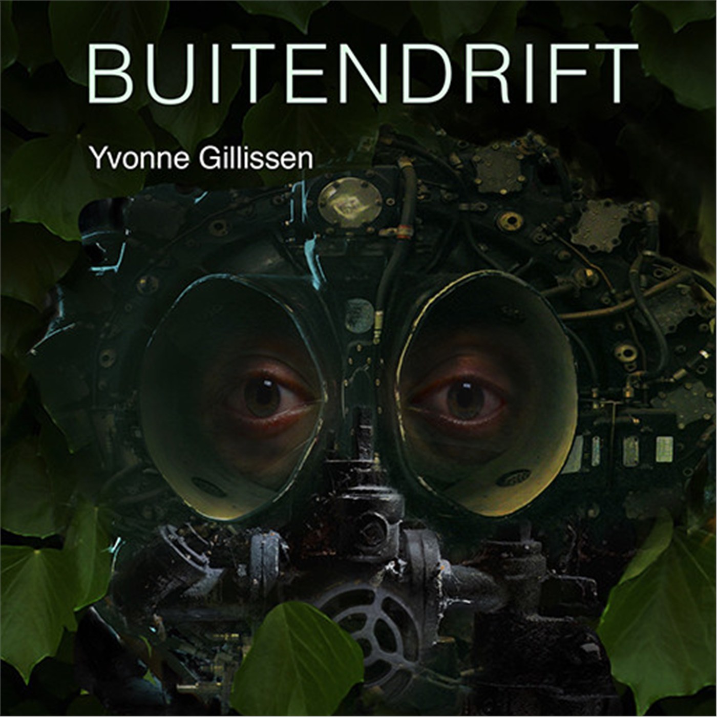Omslag van Buitendrift
