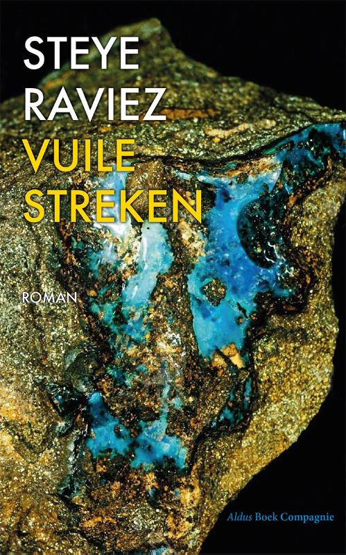 Omslag van Vuile streken