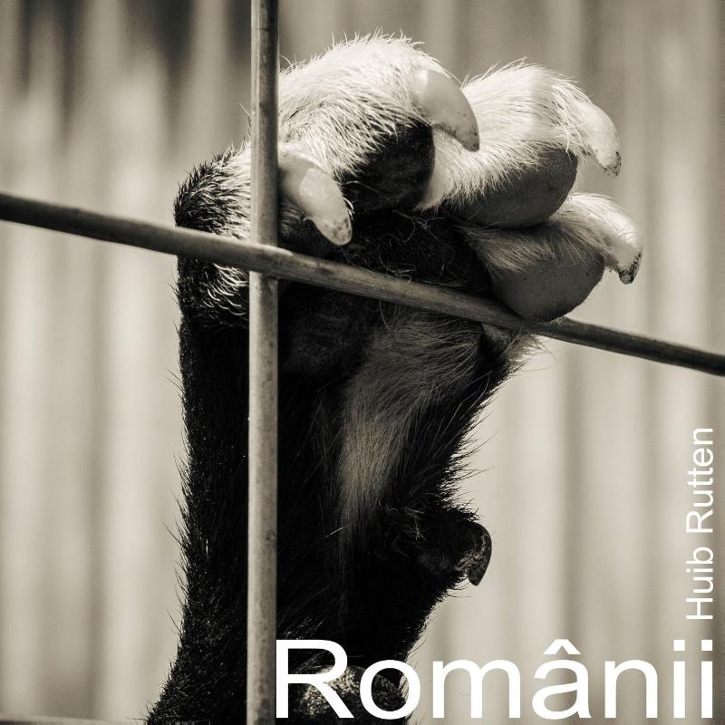 Omslag van Romanii
