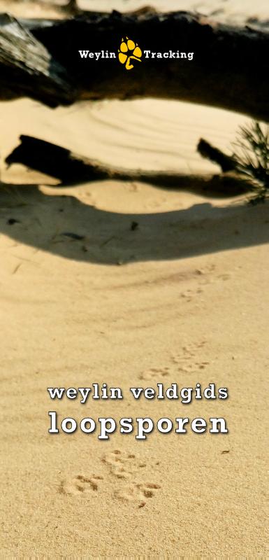 Omslag van Weylin Veldgids Loopsporen