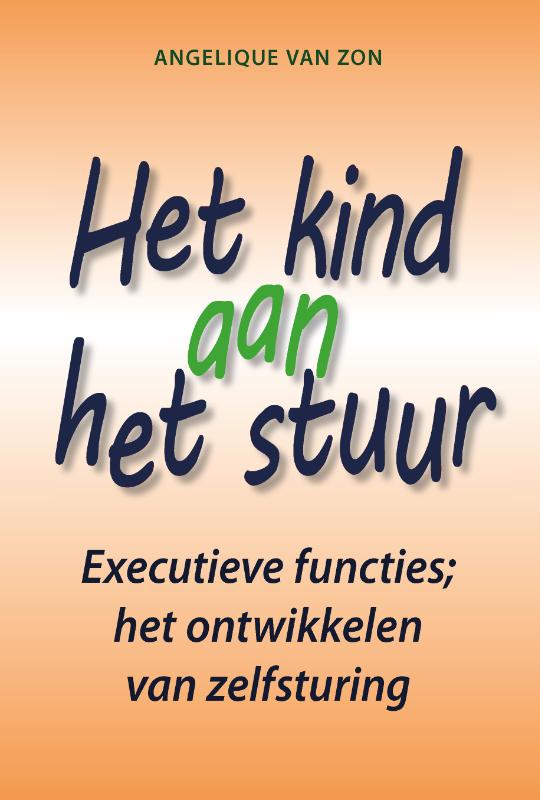 Omslag van Het kind aan het stuur
