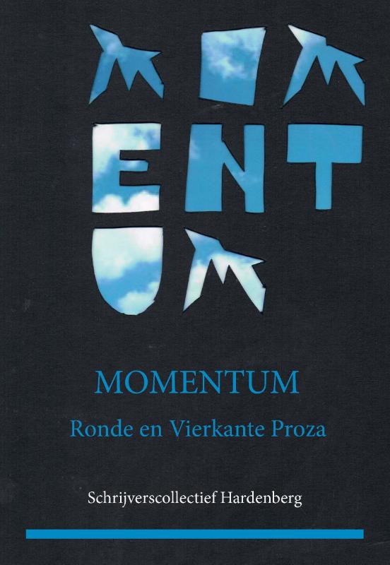 Omslag van Momentum