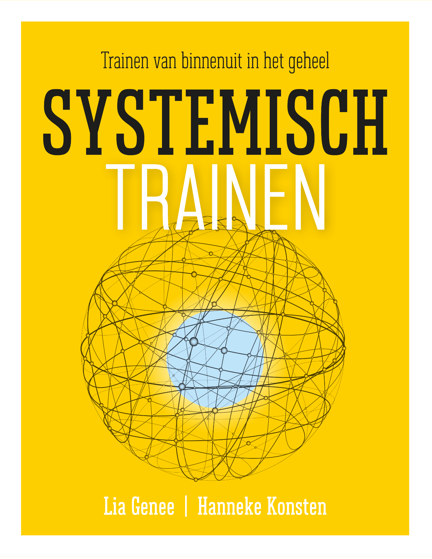Omslag van Systemisch trainen