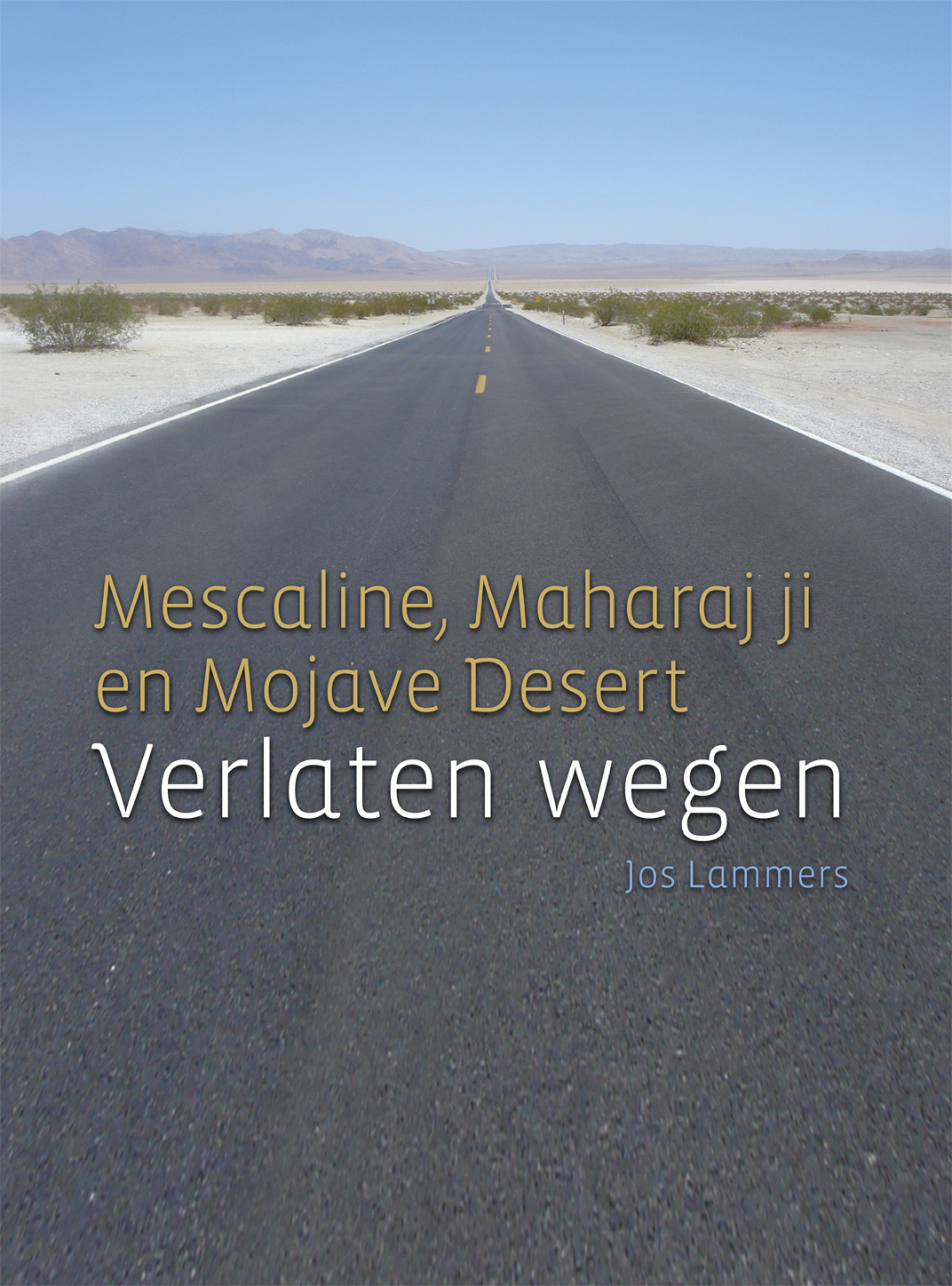 Omslag van Verlaten wegen
