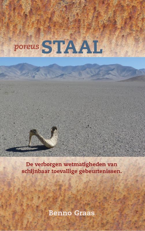 Omslag van Poreus staal