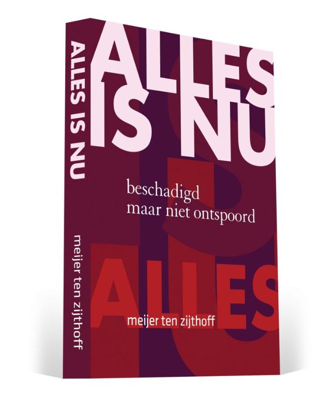 Omslag van Alles is Nu