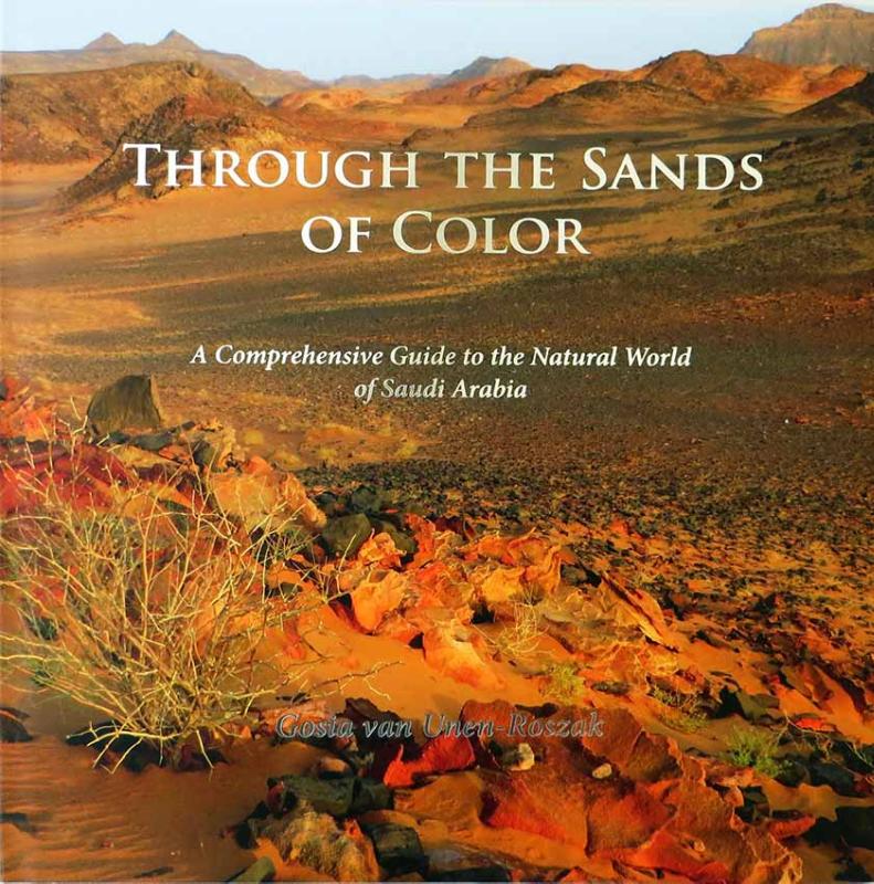 Omslag van Through the Sands of Color