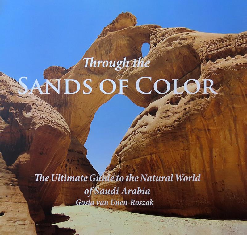 Omslag van Through the Sands of Color