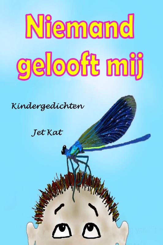 Omslag van Niemand gelooft mij