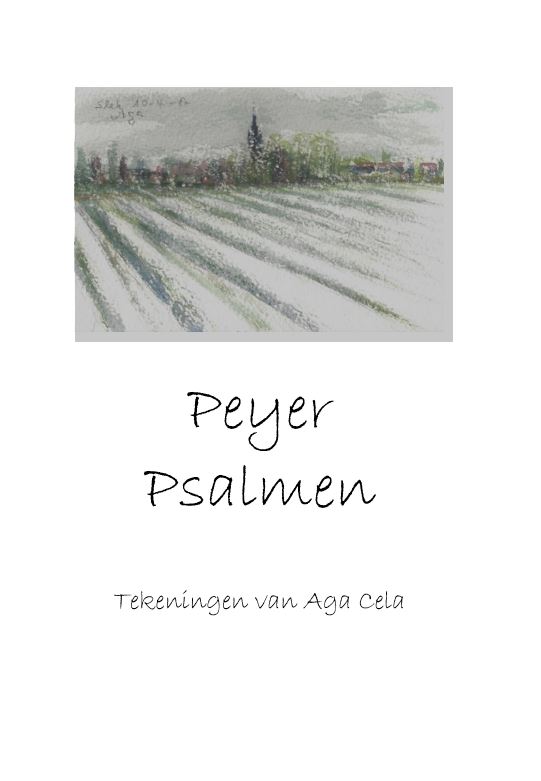 Omslag van Peyer Psalmen
