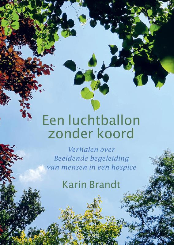 Omslag van Een luchtballon zonder koord