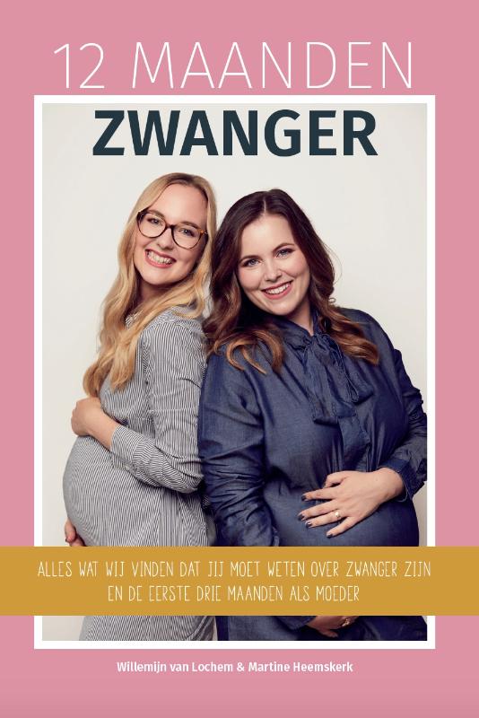 Omslag van 12 Maanden Zwanger