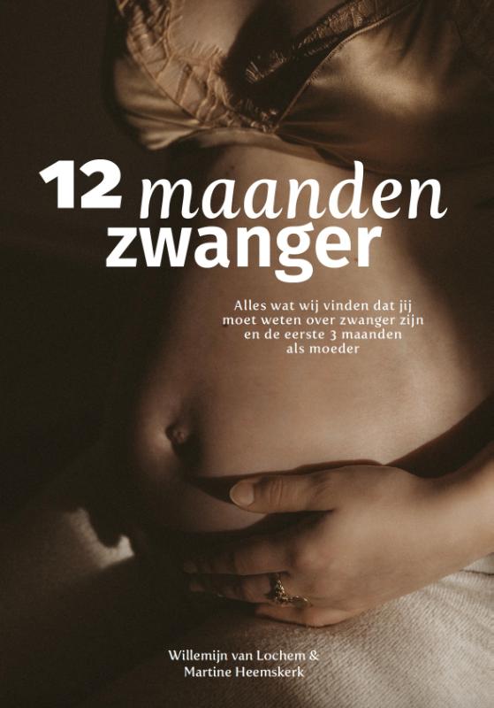 Omslag van 12 Maanden Zwanger