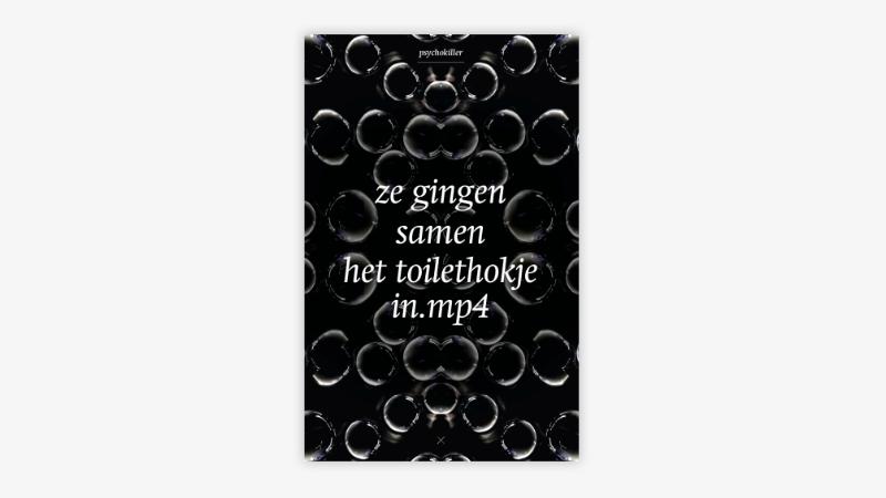 Omslag van Ze gingen samen het toilethokje in.mp4