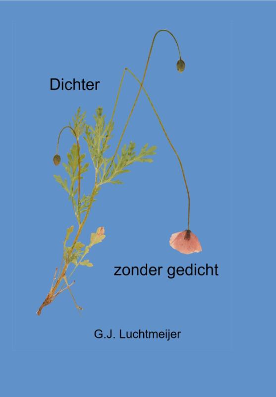 Omslag van Dichter zonder gedicht