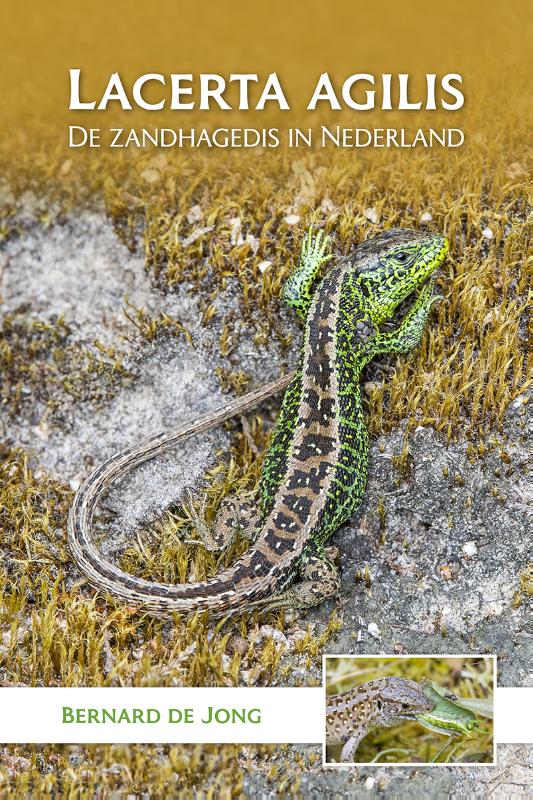 Omslag van Lacerta agilis