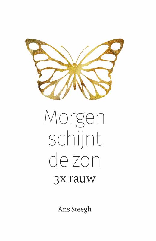 Omslag van Morgen schijnt de zon