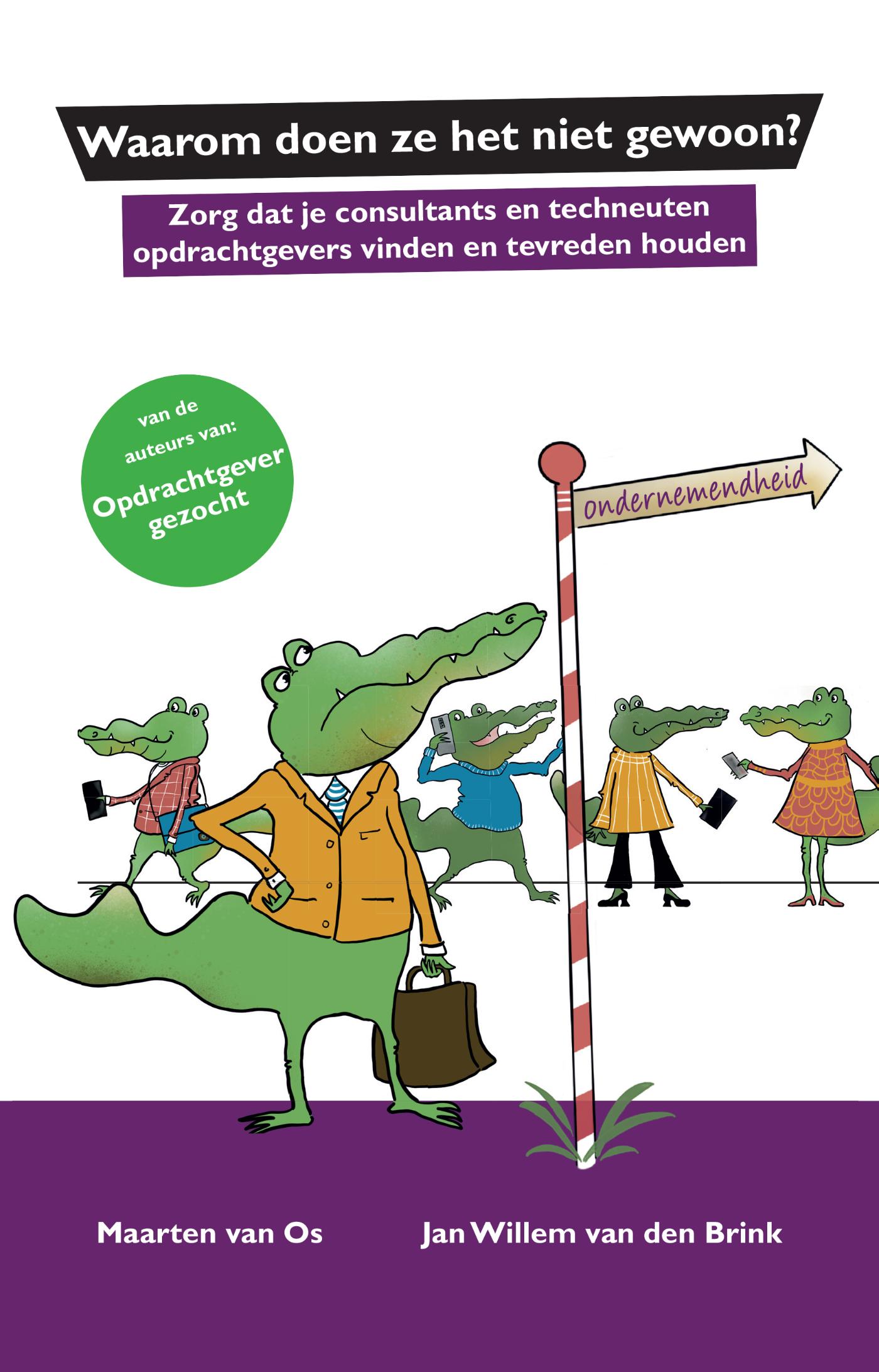 Omslag van Waarom doen ze het niet gewoon?