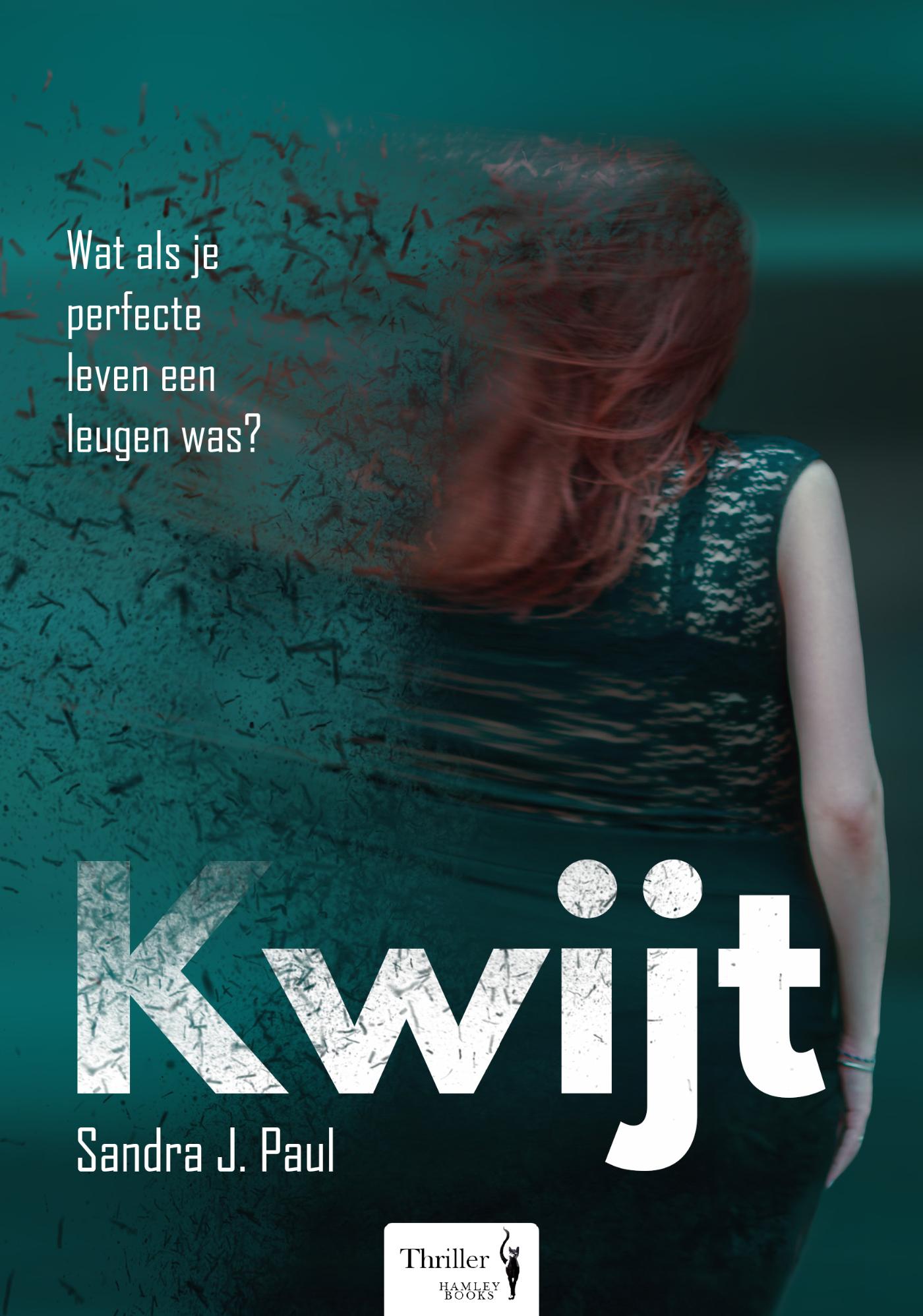 Omslag van Kwijt