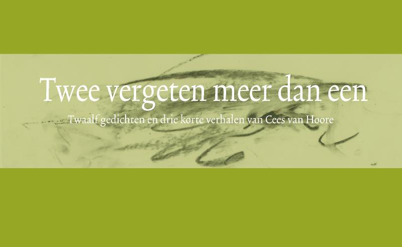 Omslag van Twee vergeten meer dan een