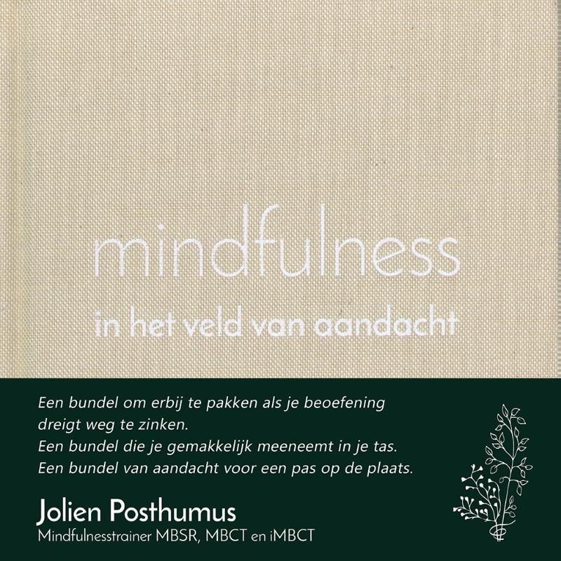 Omslag van mindfulness in het veld van aandacht