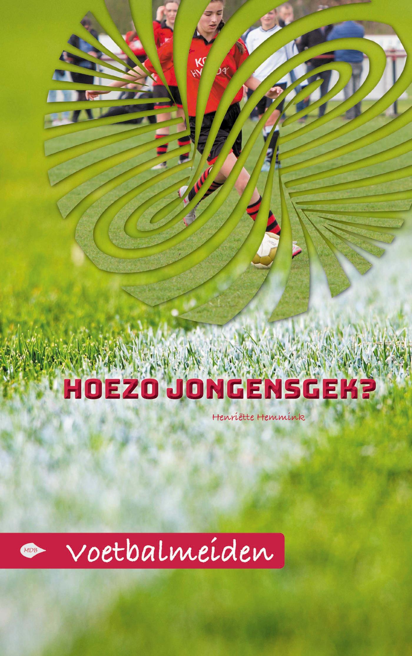 Omslag van Hoezo jongensgek?