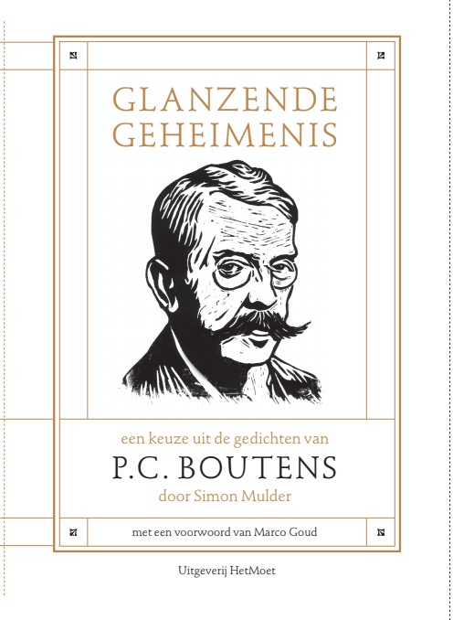Omslag van Glanzende geheimenis