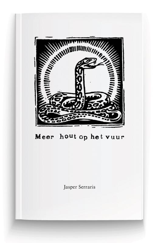 Omslag van Meer hout op het vuur
