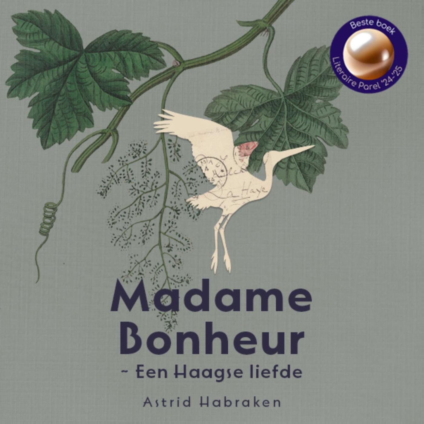 Omslag van Madame Bonheur