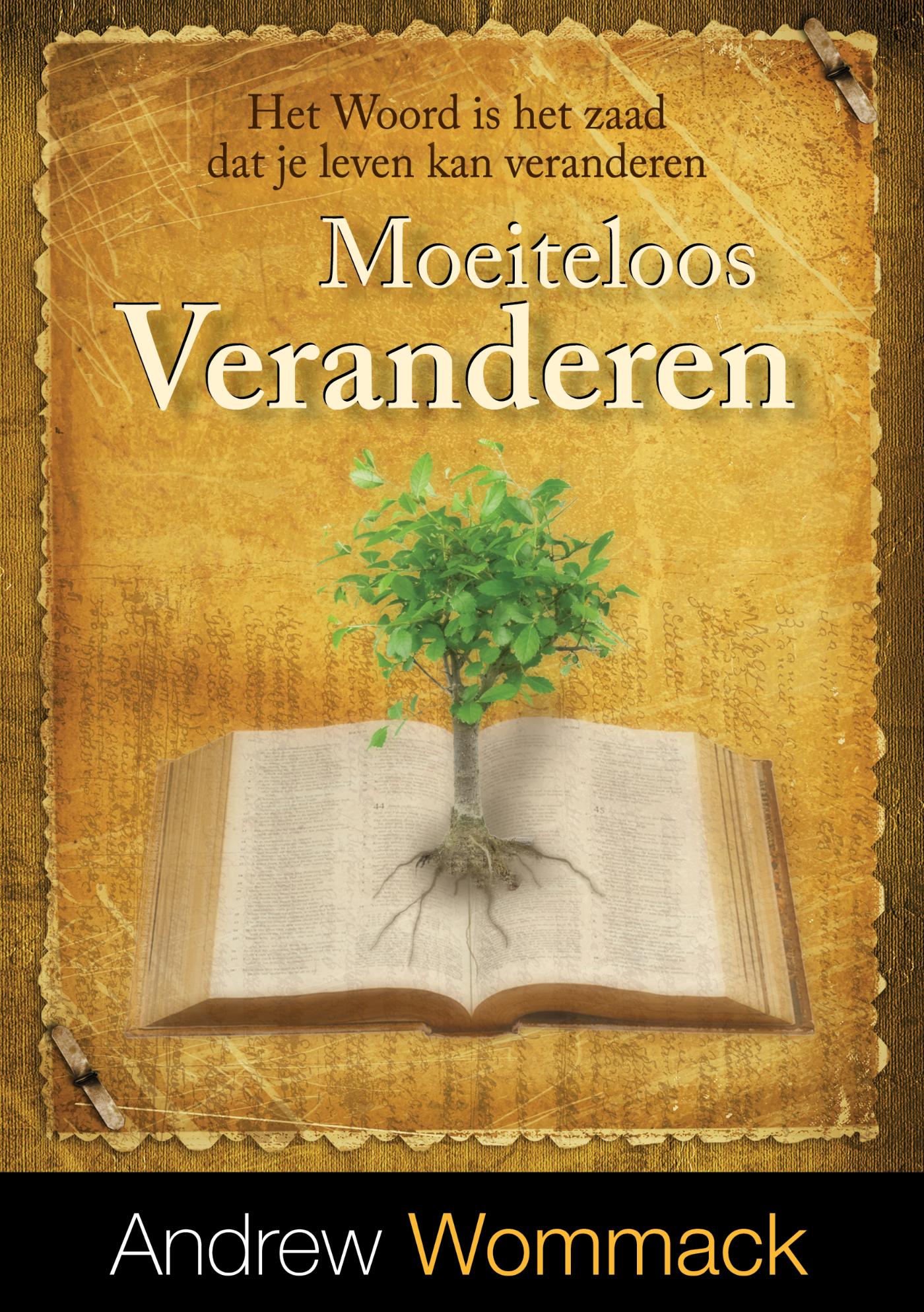Omslag van Moeiteloos veranderen