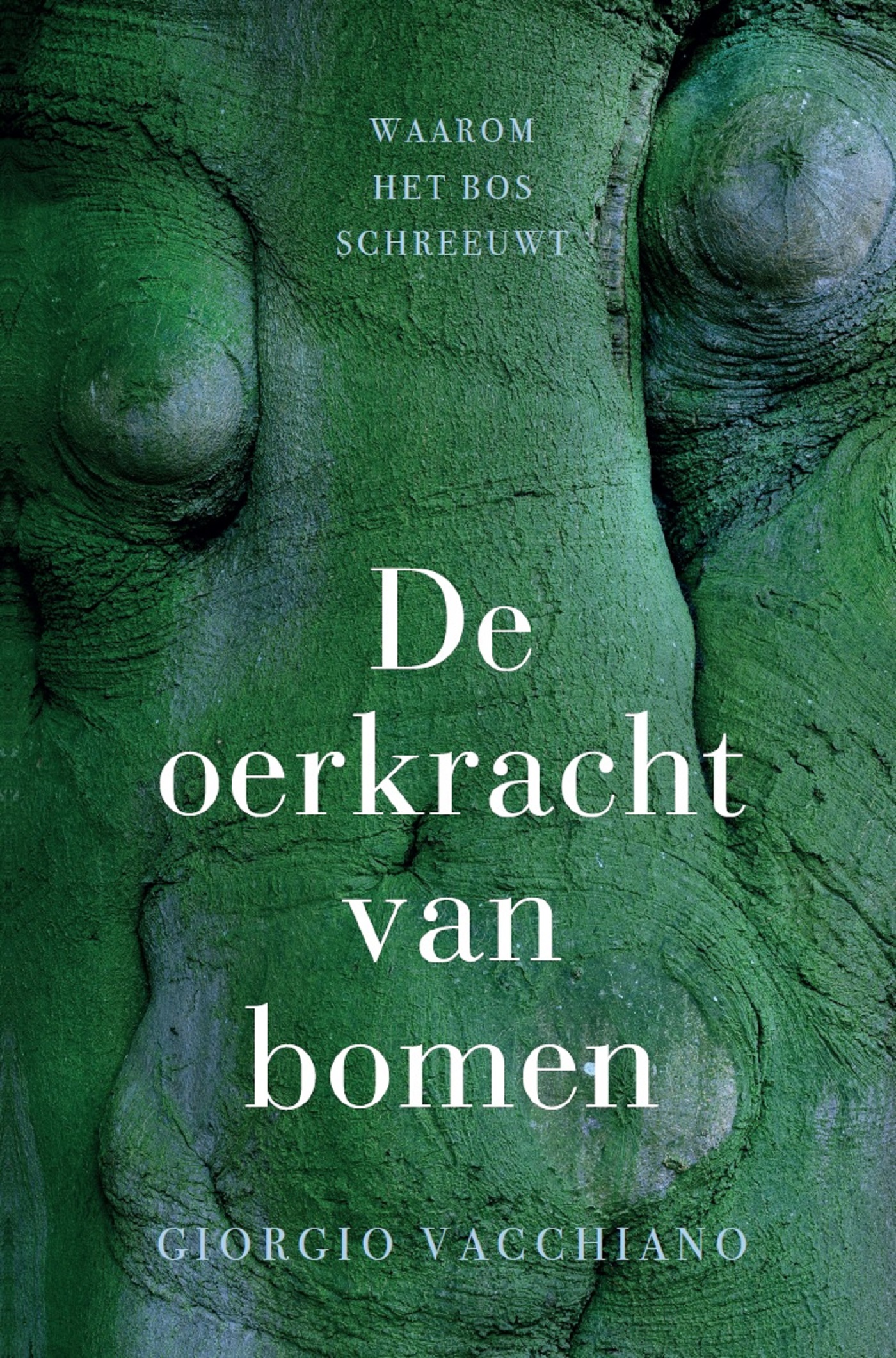 Omslag van De oerkracht van bomen