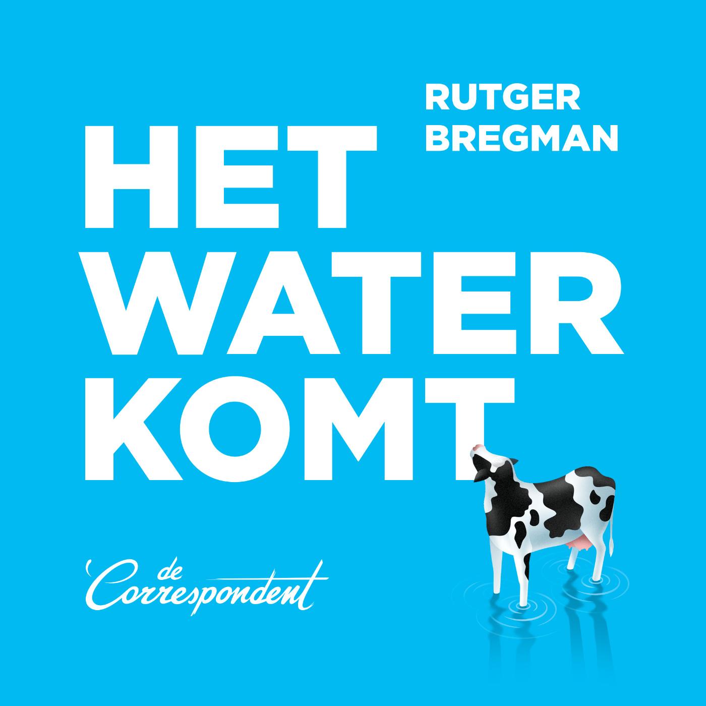 Omslag van Het water komt