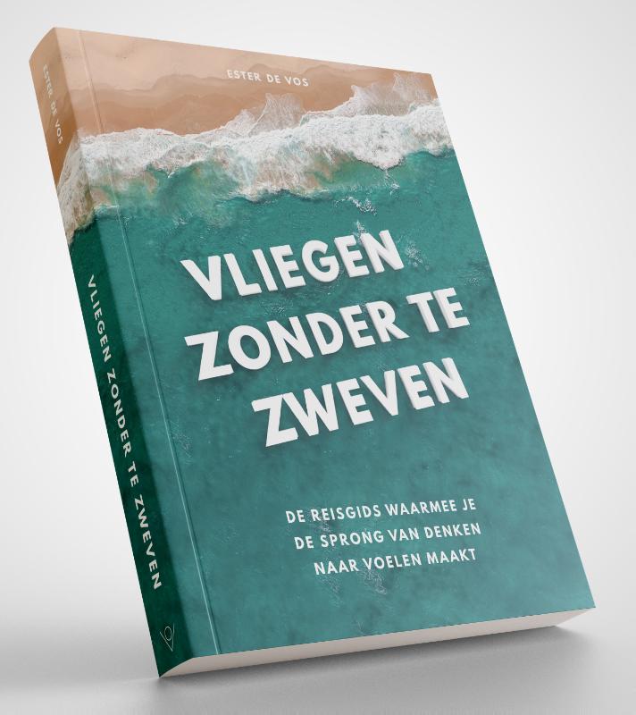 Omslag van Vliegen zonder te zweven