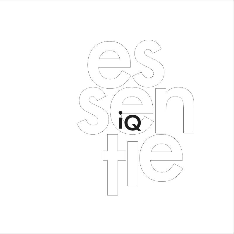 Omslag van essentie iQ