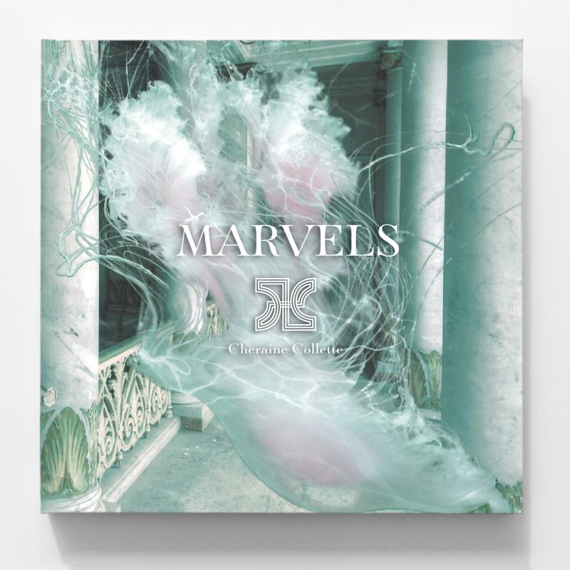 Omslag van Marvels