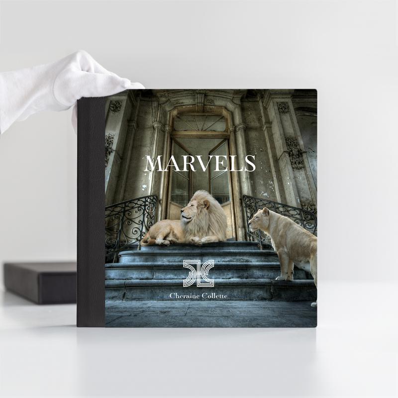 Omslag van MARVELS
