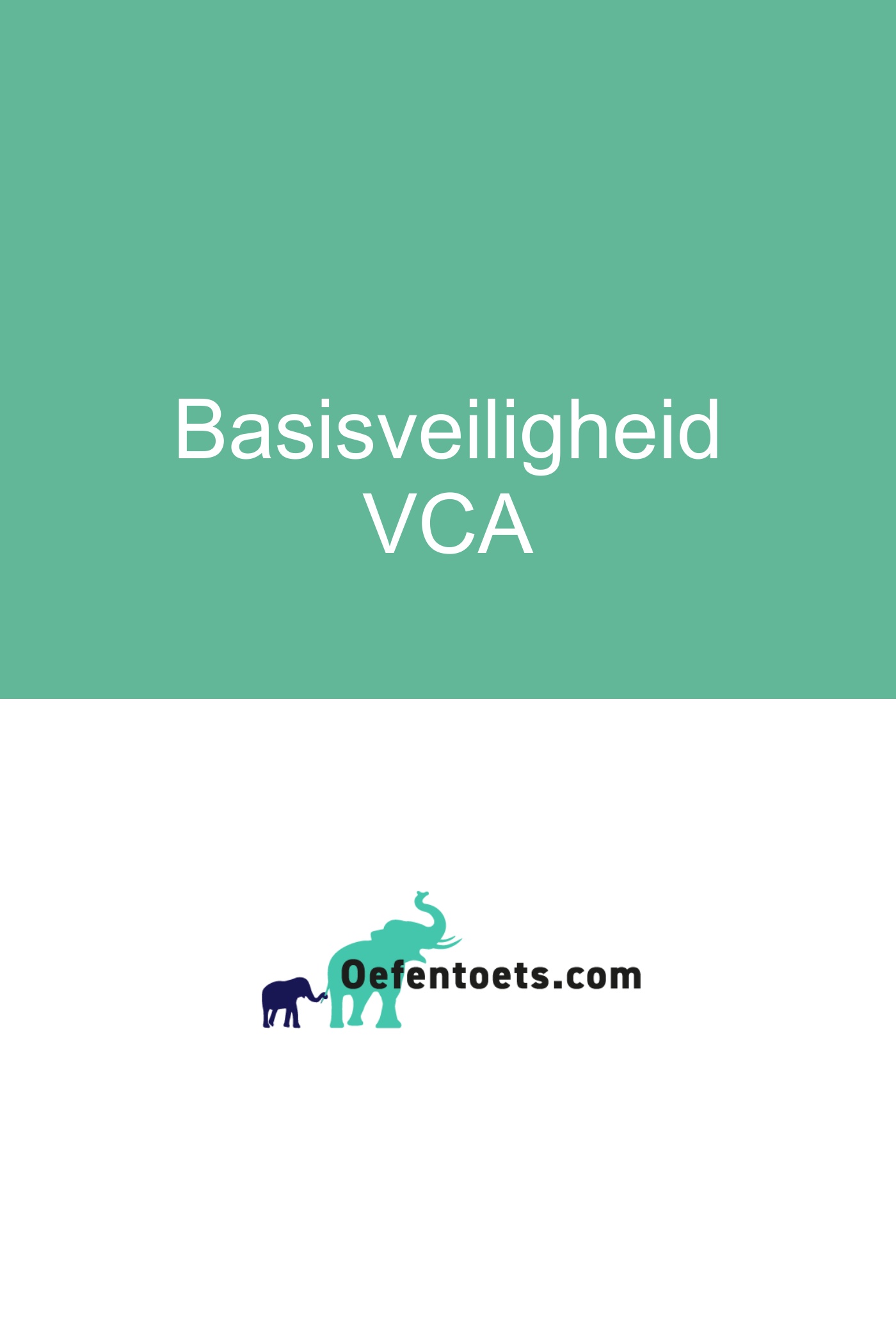 Omslag van B-VCA Theorieboekje
