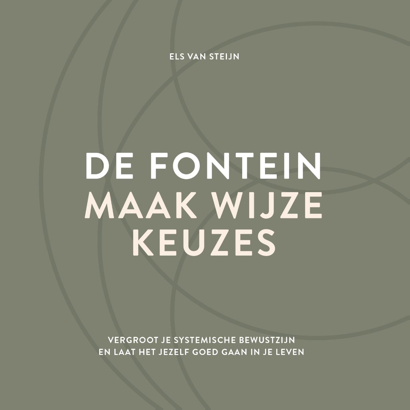 Omslag van De fontein, maak wijze keuzes