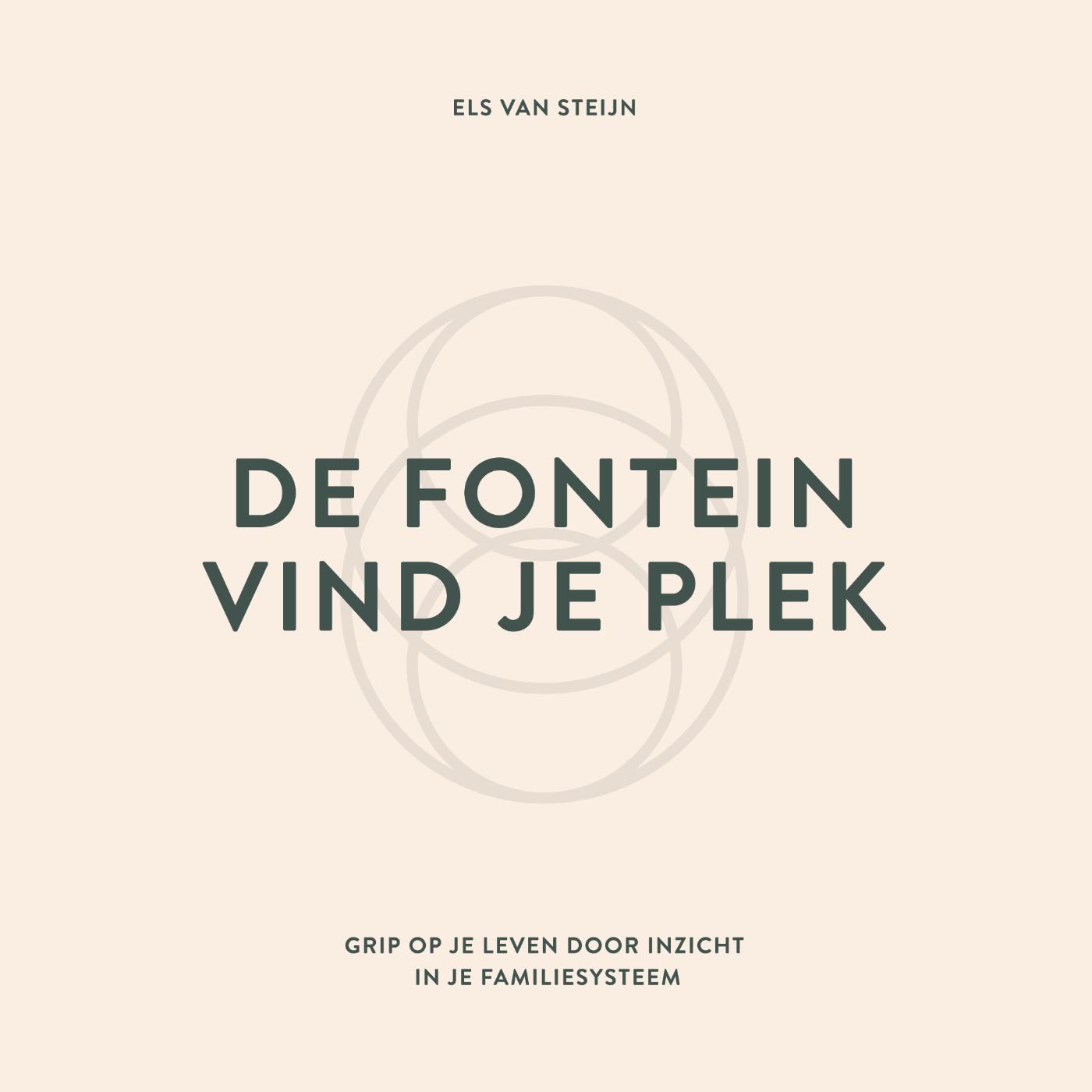 Omslag van De fontein, vind je plek