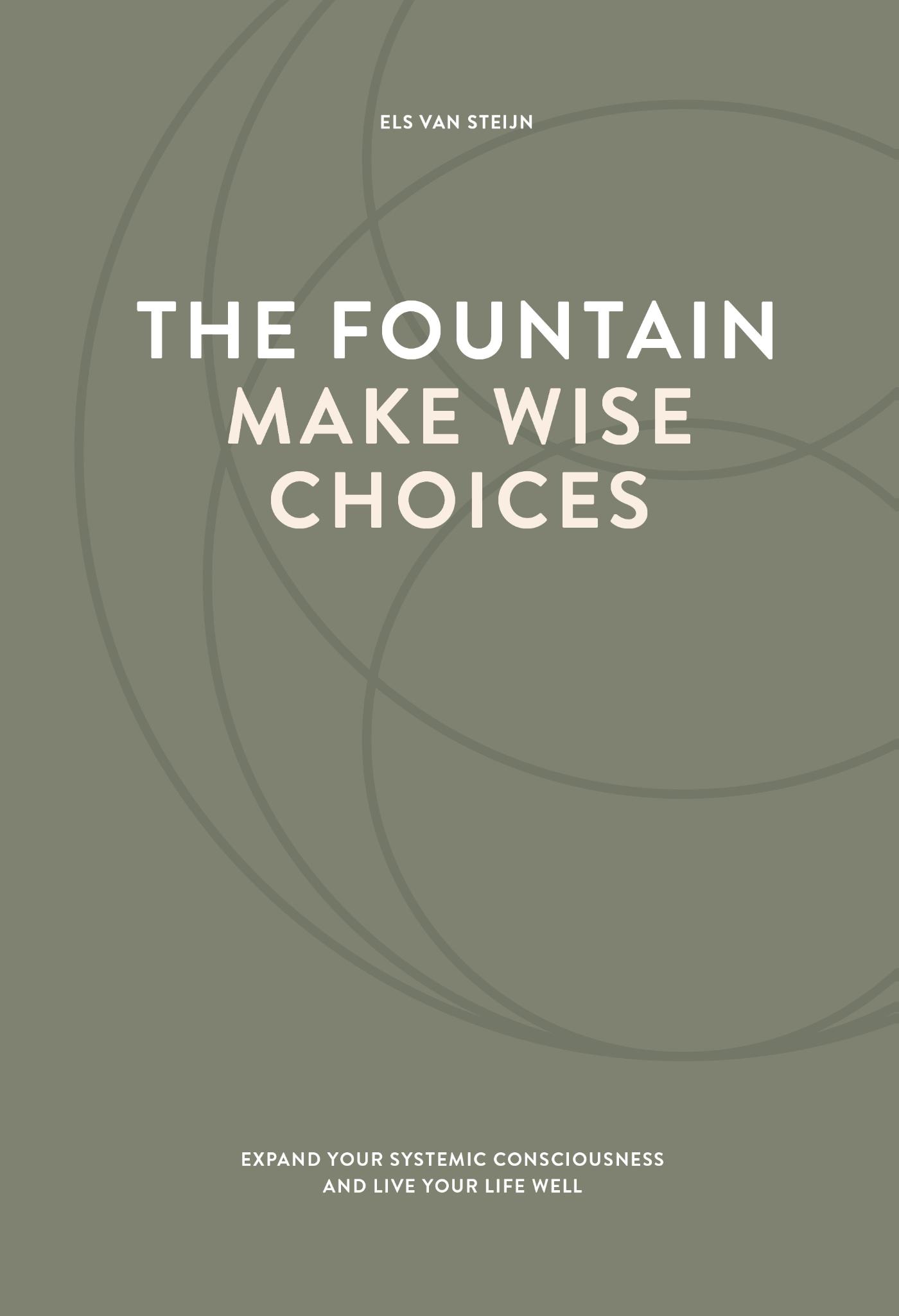 Omslag van The fountain, make wise choices